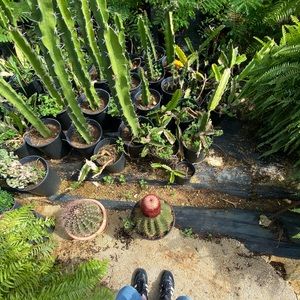 Meet your Posher, Naiyanna